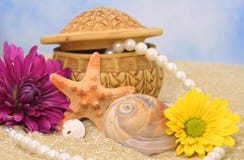 Sea Shells And Flowers Stock Photo