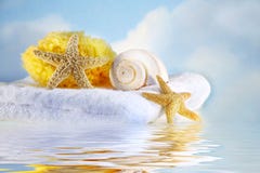 Sea Shells And Towel Royalty Free Stock Photo Sea Shells And Towel Royalty Free Stock Photo