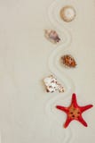 Sea shells and red star fish on sandy beach with copy space for text royalty free stock photo Sea shells and red star fish on sandy beach with copy space for text royalty free stock photo