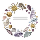 Sea Shells Vector vector illustration Sea Shells Vector vector illustration