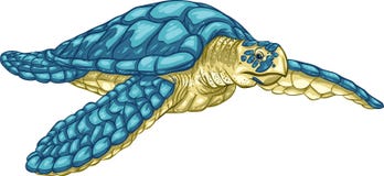 Sea Turtle Hawksbill