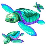 Sea Turtles Dance Oceanlife Vector Illustration Royalty Free Stock Photo