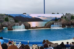 Sea World Ocean Explorers royalty free stock images Sea World Ocean Explorers royalty free stock images