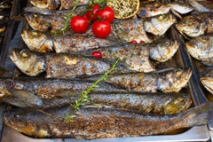 Seabass grelhado dos peixes que está sendo servido na tenda do alimento no evento internacional do festival do alimento da cozinh fotos de stock Seabass grelhado dos peixes que está sendo servido na tenda do alimento no evento internacional do festival do alimento da cozinh fotos de stock