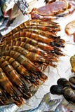 Seafood On Ice Royalty Free Stock Image Seafood On Ice Royalty Free Stock Image