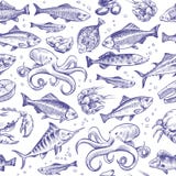 Seafood seamless pattern. Sketch fish hand drawn sea ocean marine tuna dorado sturgeon salmon menu natural texture royalty free illustration Seafood seamless pattern. Sketch fish hand drawn sea ocean marine tuna dorado sturgeon salmon menu natural texture royalty free illustration