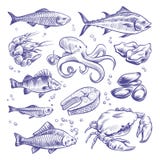 Seafoods hand drawn. Sea fishes oysters mussels lobster squid octopus crabs prawns salmon shellfish natural sea food stock illustration Seafoods hand drawn. Sea fishes oysters mussels lobster squid octopus crabs prawns salmon shellfish natural sea food stock illustration