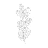Seagrass van Overzeese Onderwater Kleurende het Boekillustratie Aard Volwassen Zwart-witte Zentangle vector illustratie Seagrass van Overzeese Onderwater Kleurende het Boekillustratie Aard Volwassen Zwart-witte Zentangle vector illustratie