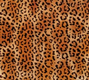 Seamless abstract pattern on a skin leopard texture, snake. royalty free stock photos Seamless abstract pattern on a skin leopard texture, snake. royalty free stock photos