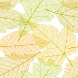 Seamless autumn leaves pattern