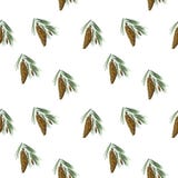 Seamless background with Hand drawn pine cone royalty free illustration Seamless background with Hand drawn pine cone royalty free illustration