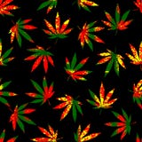 Rastafarian grunge hemp leaves. royalty free illustration Rastafarian grunge hemp leaves. royalty free illustration