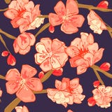 Seamless background pattern of pink Sakura blossom or Japanese flowering cherry symbolic of Spring stock illustration Seamless background pattern of pink Sakura blossom or Japanese flowering cherry symbolic of Spring stock illustration