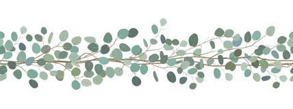 Download Eucalyptus Clipart And Illustrations