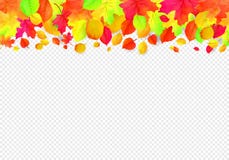 Seamless border pattern of falling autumn leaves. Vector Royalty Free Illustration Seamless border pattern of falling autumn leaves. Vector Royalty Free Illustration