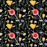 Seamless floral pattern with wildflowers on dark background. Hand drawn watercolor illustration. Vector Illustration Seamless floral pattern with wildflowers on dark background. Hand drawn watercolor illustration. Vector Illustration