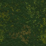 Seamless Grass Background Royalty Free Stock Photo Seamless Grass Background Royalty Free Stock Photo