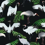Seamless pattern with cranes and leaves of palm trees stock illustration Seamless pattern with cranes and leaves of palm trees stock illustration