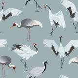 Seamless pattern with cranes royalty free illustration Seamless pattern with cranes royalty free illustration