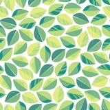 Seamless pattern with green leaves. Texture for cosmetics, tea production, live food, environmental themes. Royalty Free Stock Images Seamless pattern with green leaves. Texture for cosmetics, tea production, live food, environmental themes. Royalty Free Stock Images