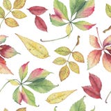 Seamless pattern with hand drawn autumn leaves. stock illustration Seamless pattern with hand drawn autumn leaves. stock illustration