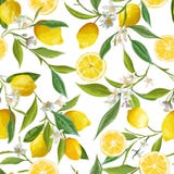 Seamless Pattern. Lemon Fruits Background. Floral Pattern