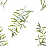 Seamless pattern of olive branches in watercolor royalty free illustration Seamless pattern of olive branches in watercolor royalty free illustration