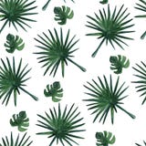 Seamless pattern with palm leaves. Watercolor illustration. royalty free illustration Seamless pattern with palm leaves. Watercolor illustration. royalty free illustration