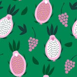 Seamless pattern of pink pitaya and grapes on a green background. vector illustration Seamless pattern of pink pitaya and grapes on a green background. vector illustration