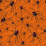 Seamless Spiders And Web Cobs Halloween Background Royalty Free Stock Photography Image: 34573347 Seamless Spiders And Web Cobs Halloween Background Royalty Free Stock Photography Image: 34573347