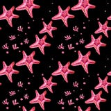 Seamless pattern with starfish and algae vector illustration Seamless pattern with starfish and algae vector illustration
