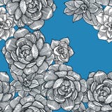 Seamless pattern with succulent on the blue background. Graphics. Hand drawn royalty free illustration Seamless pattern with succulent on the blue background. Graphics. Hand drawn royalty free illustration