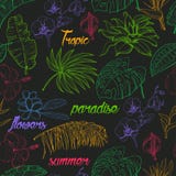 Seamless pattern with tropical plants and flowers on dark background Royalty Free Stock Photography Seamless pattern with tropical plants and flowers on dark background Royalty Free Stock Photography