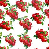 Seamless pattern with watercolor painted apples vector illustration Seamless pattern with watercolor painted apples vector illustration