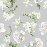 Seamless pattern of white roses and freesia. vector illustration Seamless pattern of white roses and freesia. vector illustration