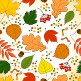 Seamless Pattern With Colorful Autumn Leaves Royalty Free Stock Images