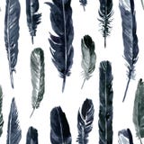 Seamless Pattern With Plumes Royalty Free Stock Photos