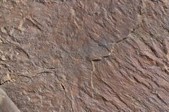 Granite stone dirty texture royalty free stock images Granite stone dirty texture royalty free stock images