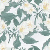 Seamless texture twig jasmine flower and buds spring flower vintage vector illustration editable Stock Photos Seamless texture twig jasmine flower and buds spring flower vintage vector illustration editable Stock Photos