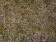 Soil with dried grass background. Seamless Texture of the Ground with Dry Herbs. Stock Photo Soil with dried grass background. Seamless Texture of the Ground with Dry Herbs. Stock Photo