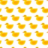 Seamless vector duck pattern vector illustration Seamless vector duck pattern vector illustration