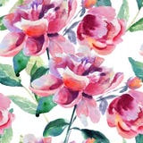 Seamless wallpaper with Beautiful Peony flower stock illustration Seamless wallpaper with Beautiful Peony flower stock illustration