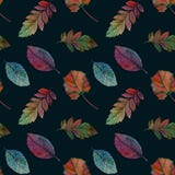 Elegant autumn leaves for different color design. Seamless watercolor pattern of colorful leaves. royalty free illustration Elegant autumn leaves for different color design. Seamless watercolor pattern of colorful leaves. royalty free illustration