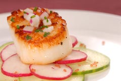 Seared Scallop Royalty Free Stock Photos Seared Scallop Royalty Free Stock Photos