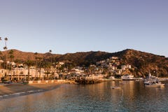 Seascape ανατολής ξημερωμάτων στο λιμάνι Avalon που κοιτάζει προς την παραλία και τη μικρή πόλη Στοκ Εικόνα Seascape ανατολής ξημερωμάτων στο λιμάνι Avalon που κοιτάζει προς την παραλία και τη μικρή πόλη Στοκ Εικόνα