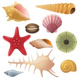Seashell Icons Stock Image Seashell Icons Stock Image