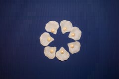 Seashell pearls on dark blue background royalty free stock photo Seashell pearls on dark blue background royalty free stock photo