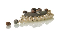 Seashells and pearls Royalty Free Stock Image Seashells and pearls Royalty Free Stock Image