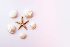 Seashells, rozgwiazda na pastelowych menchii tle poj?cia t?a ramy piasek seashells lato Odg?rny widok, kopii przestrze? obraz stock Seashells, rozgwiazda na pastelowych menchii tle poj?cia t?a ramy piasek seashells lato Odg?rny widok, kopii przestrze? obraz stock