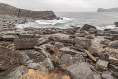 Seaside East Coast Trail royalty free stock photos Seaside East Coast Trail royalty free stock photos